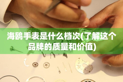 海鷗手表是什么檔次(了解這個品牌的質(zhì)量和價值)