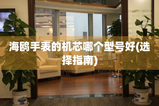 海鷗手表的機芯哪個型號好(選擇指南)