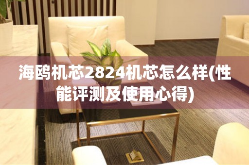 海鷗機芯2824機芯怎么樣(性能評測及使用心得)