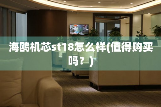 海鷗機芯st18怎么樣(值得購買嗎？)