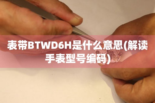 表帶BTWD6H是什么意思(解讀手表型號編碼)