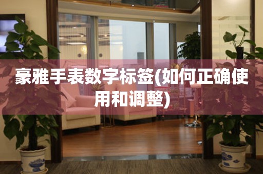 豪雅手表數(shù)字標(biāo)簽(如何正確使用和調(diào)整)