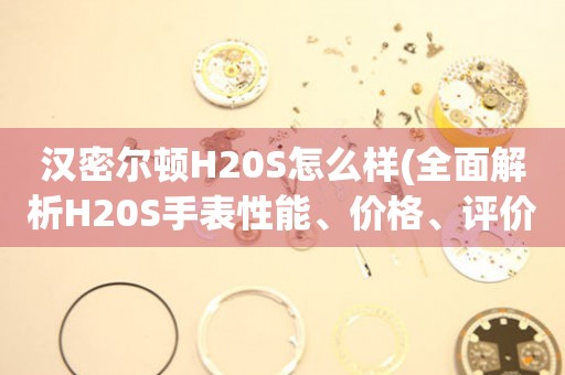 漢密爾頓H20S怎么樣(全面解析H20S手表性能、價(jià)格、評(píng)價(jià))