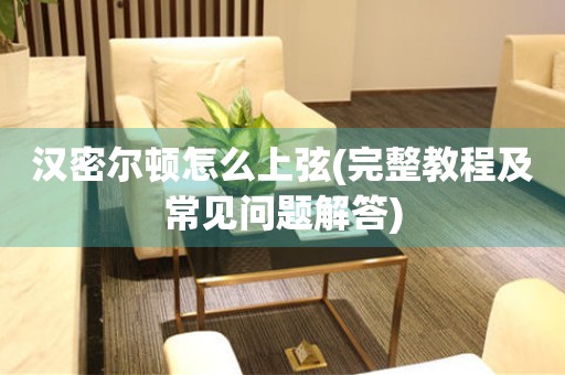 漢密爾頓怎么上弦(完整教程及常見問題解答)