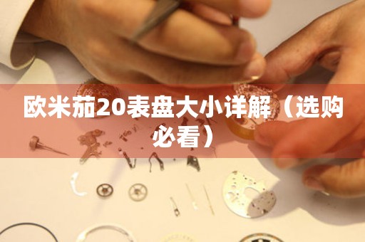 歐米茄20表盤大小詳解（選購必看）