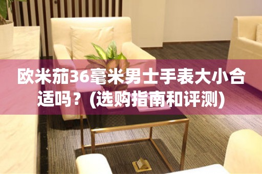 歐米茄36毫米男士手表大小合適嗎？(選購指南和評測)