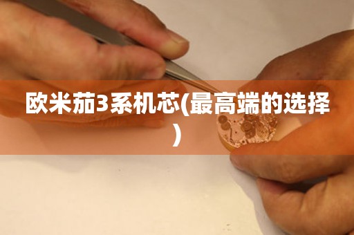 歐米茄3系機芯(最高端的選擇)