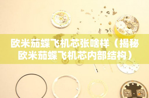 歐米茄蝶飛機芯張啥樣（揭秘歐米茄蝶飛機芯內(nèi)部結(jié)構(gòu)）