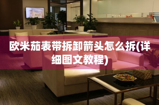 歐米茄表帶拆卸箭頭怎么拆(詳細(xì)圖文教程)