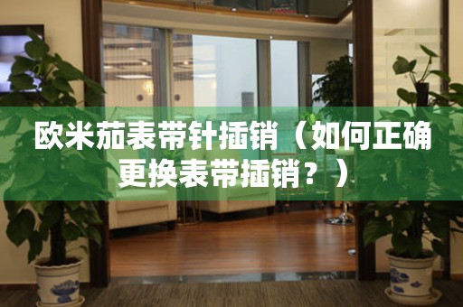 歐米茄表帶針插銷（如何正確更換表帶插銷？）