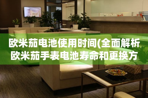 歐米茄電池使用時(shí)間(全面解析歐米茄手表電池壽命和更換方法)