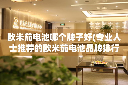 歐米茄電池哪個(gè)牌子好(專業(yè)人士推薦的歐米茄電池品牌排行榜)