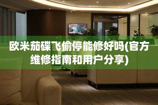 歐米茄碟飛偷停能修好嗎(官方維修指南和用戶分享)