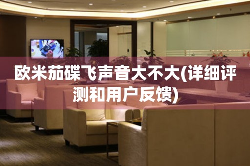 歐米茄碟飛聲音大不大(詳細(xì)評(píng)測(cè)和用戶反饋)