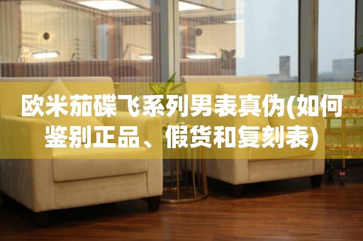 歐米茄碟飛系列男表真?zhèn)?如何鑒別正品、假貨和復(fù)刻表)