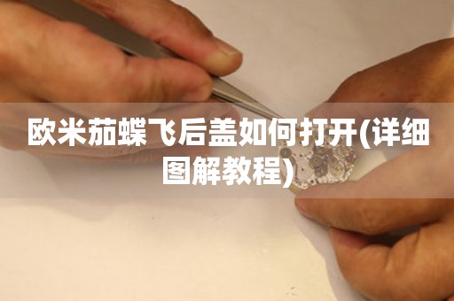 歐米茄蝶飛后蓋如何打開(詳細(xì)圖解教程)