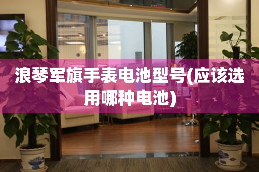 浪琴軍旗手表電池型號(hào)(應(yīng)該選用哪種電池)
