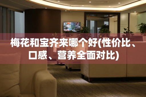 梅花和寶齊來哪個(gè)好(性價(jià)比、口感、營(yíng)養(yǎng)全面對(duì)比)