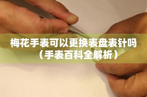 梅花手表可以更換表盤表針嗎（手表百科全解析）