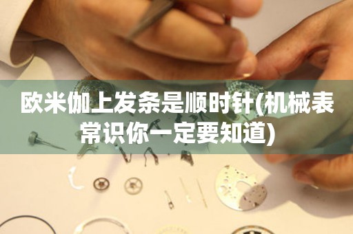 歐米伽上發(fā)條是順時針(機械表常識你一定要知道)
