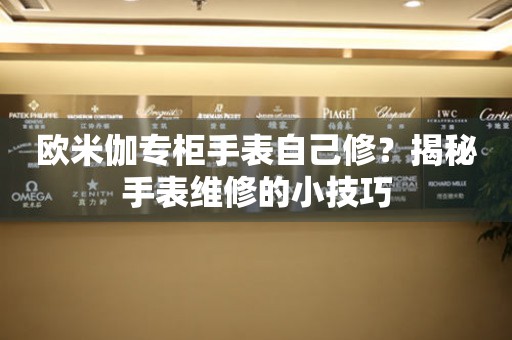 歐米伽專柜手表自己修？揭秘手表維修的小技巧