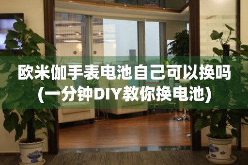 歐米伽手表電池自己可以換嗎(一分鐘DIY教你換電池)