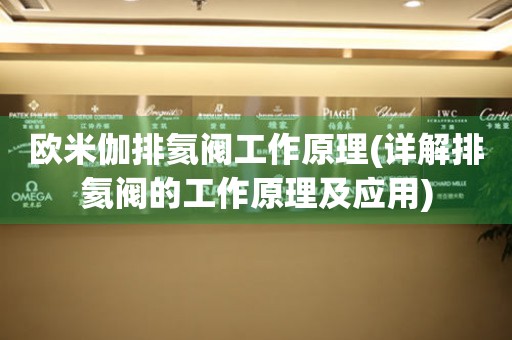 歐米伽排氦閥工作原理(詳解排氦閥的工作原理及應用)