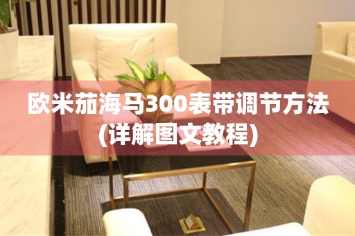 歐米茄海馬300表帶調(diào)節(jié)方法(詳解圖文教程)