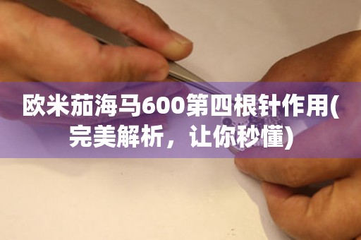 歐米茄海馬600第四根針作用(完美解析，讓你秒懂)