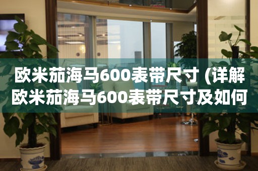 歐米茄海馬600表帶尺寸 (詳解歐米茄海馬600表帶尺寸及如何選擇合適的表帶)