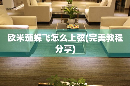 歐米茄蝶飛怎么上弦(完美教程分享)