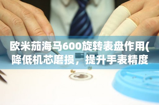 歐米茄海馬600旋轉(zhuǎn)表盤作用(降低機(jī)芯磨損，提升手表精度)