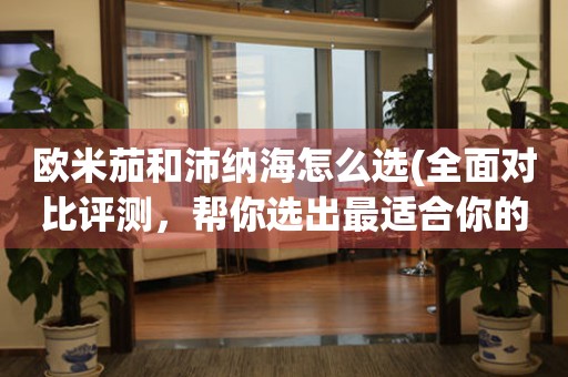 歐米茄和沛納海怎么選(全面對比評測，幫你選出最適合你的腕表)