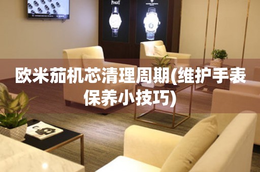 歐米茄機(jī)芯清理周期(維護(hù)手表保養(yǎng)小技巧)