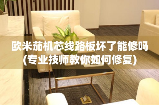 歐米茄機(jī)芯線路板壞了能修嗎(專(zhuān)業(yè)技師教你如何修復(fù))