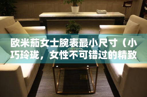 歐米茄女士腕表最小尺寸（小巧玲瓏，女性不可錯過的精致配飾）