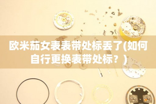 歐米茄女表表帶處標丟了(如何自行更換表帶處標？)