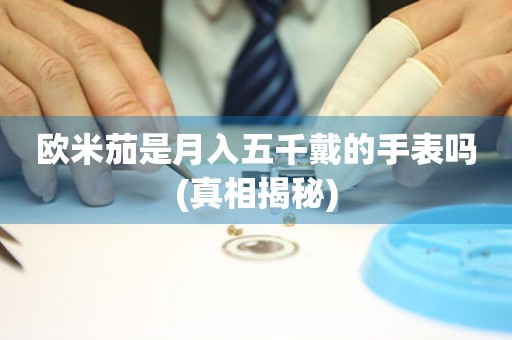 歐米茄是月入五千戴的手表嗎(真相揭秘)