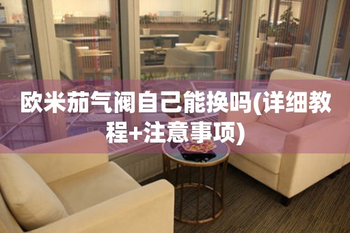 歐米茄氣閥自己能換嗎(詳細(xì)教程+注意事項(xiàng))