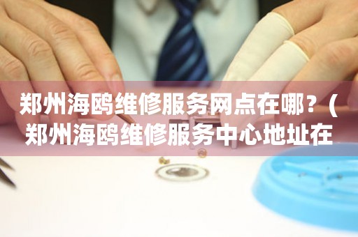 鄭州海鷗維修服務(wù)網(wǎng)點在哪？(鄭州海鷗維修服務(wù)中心地址在哪？)