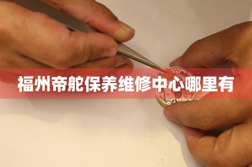 福州帝舵保養(yǎng)維修中心哪里有