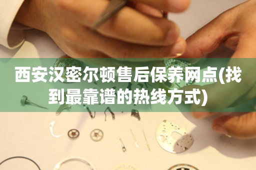 西安漢密爾頓售后保養(yǎng)網(wǎng)點(diǎn)(找到最靠譜的熱線方式)
