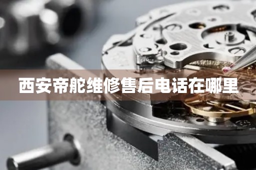 西安帝舵維修售后電話在哪里