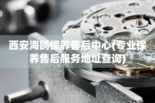 西安海鷗保養(yǎng)售后中心(專業(yè)保養(yǎng)售后服務地址查詢)