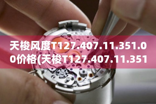 天梭風(fēng)度T127.407.11.351.00價格(天梭T127.407.11.351.00價格及購買攻略)