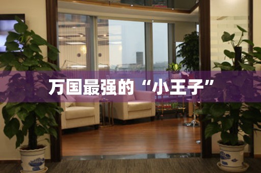萬國最強(qiáng)的“小王子”