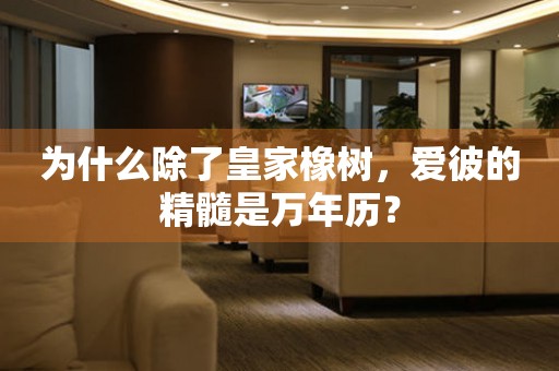 為什么除了皇家橡樹，愛彼的精髓是萬年歷？