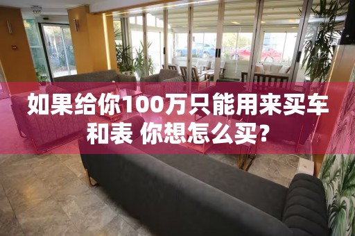 如果給你100萬(wàn)只能用來(lái)買車和表 你想怎么買？