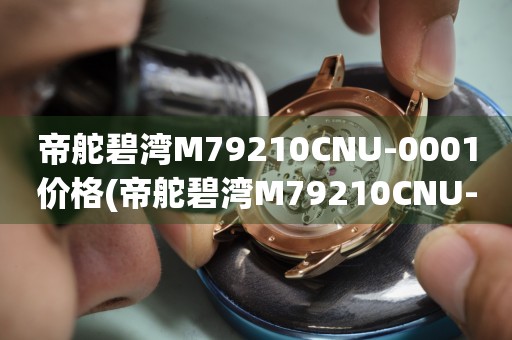 帝舵碧灣M79210CNU-0001價(jià)格(帝舵碧灣M79210CNU-0001價(jià)格查詢以及購(gòu)買攻略)