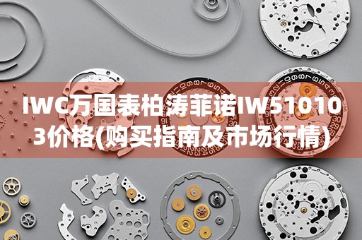 IWC萬國表柏濤菲諾IW510103價(jià)格(購買指南及市場行情)